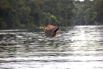 DSC_4044-01.jpg