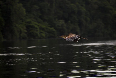 DSC_4045-01.jpg
