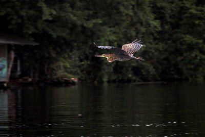DSC_4047-01.jpg