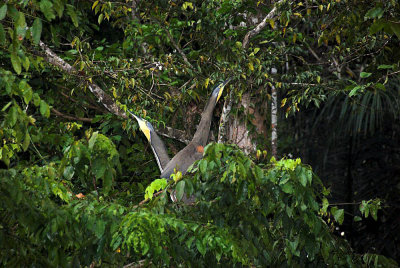 DSC_4065-01.jpg
