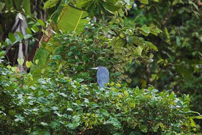 DSC_4149-01.jpg