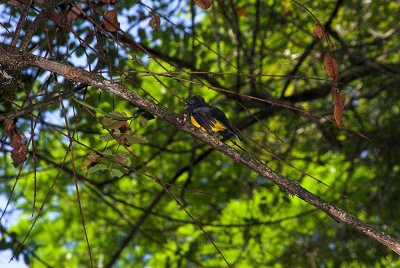 DSC_4201-01.jpg