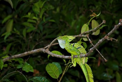 DSC_4334-01.jpg