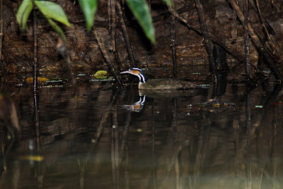 DSC_4361-01.jpg
