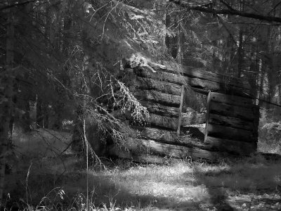 P7032700 bw.jpg