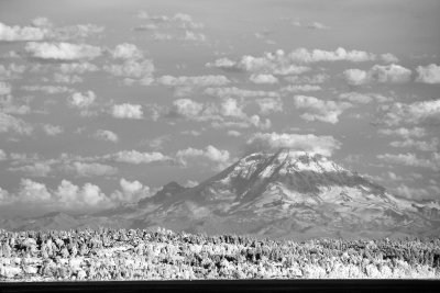 Mt. Rainier from Bainbridge Island