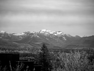 Cascade Clearcuts, April 16th