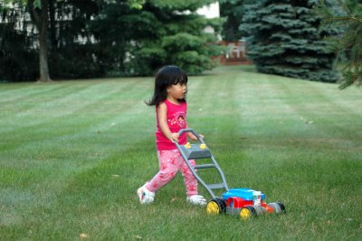 mowing the lawn