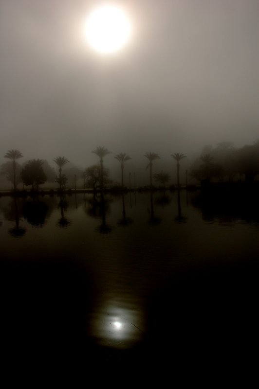 DSC_0752.JPG
