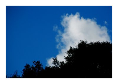 DSC_0423.JPG