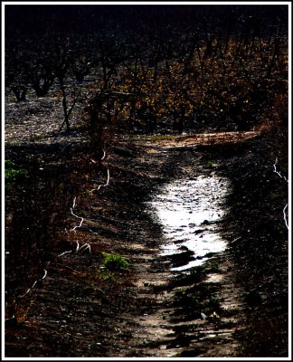 DSC_0735.JPG