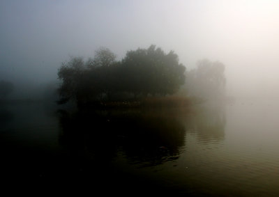 DSC_0737.JPG