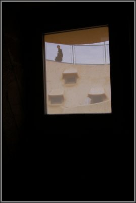 DSC_1161.JPG