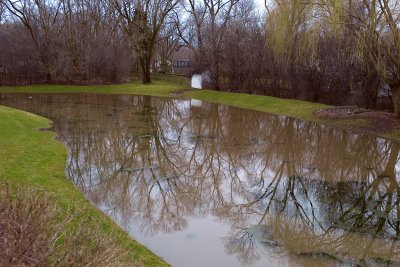 Pond, March 22