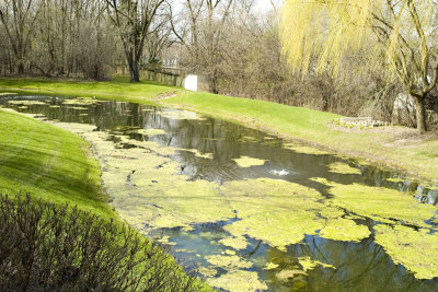 Pond, April 4