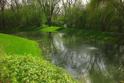 Pond, April 28