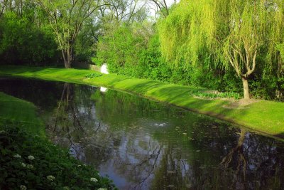 Pond, May 8