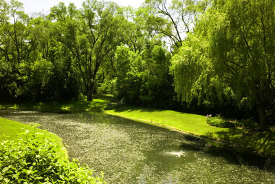 Pond, May 27