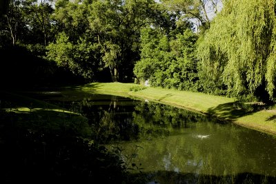 Pond June 9