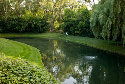 Pond, July 28