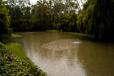 Pond, August 19