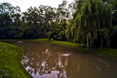 Pond, August 28