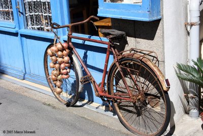 Bicycle and red onion