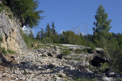g6/60/755160/3/81045961.hUfauBA8.jpg