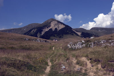 Sentiero per andare al Battisti