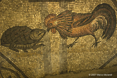 The mosaic in the archeological area