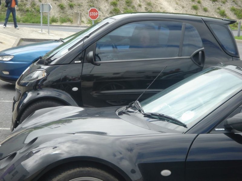 DSC07775.JPG