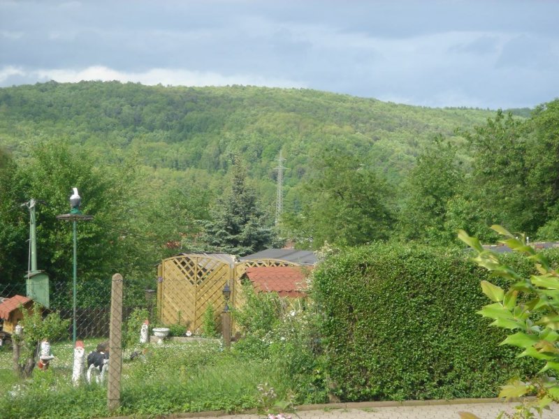 DSC07792.JPG