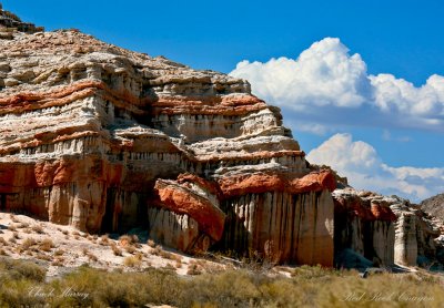 red-rock-canyon-web.jpg