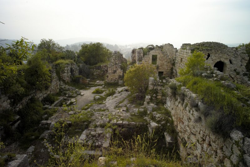 L1002649.jpg