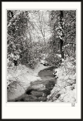 Frozen Brook