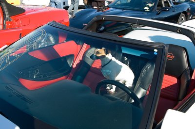 OC101406_108.jpg