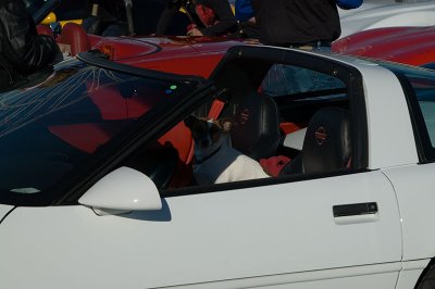 OC101406_124.jpg