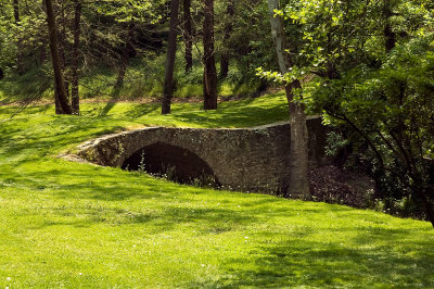_DSC7152.jpg