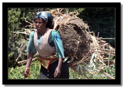 Carrying a Heavy Load, Entono, Ethiopia