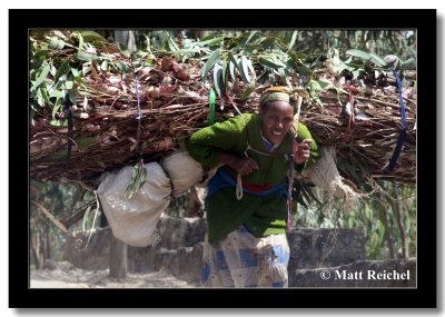 Carrying Firewood, Entono, Ethiopia