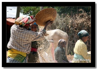 Sifting Grain, Entono, Ethiopia