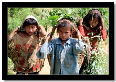 Children Carrying the Harvest, Siruvari, Nepal