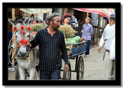 Pulling a Watermellon Filled Donkey Cart, Hotan, East Turkistan (Xinjiang)