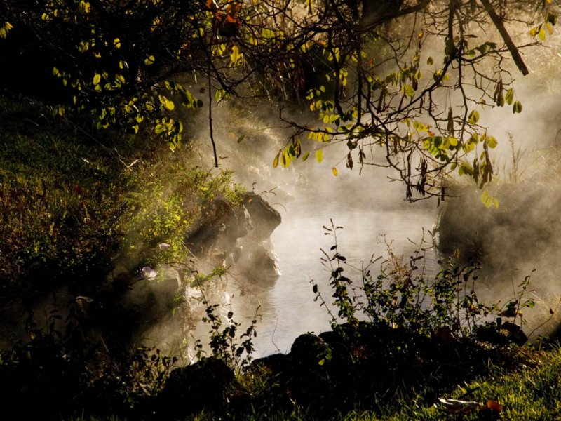 <B>Morning Mist </B> <BR><FONT SIZE=2><B> </B> <BR><FONT SIZE=2>Benton Hot Springs, California October 2006</FONT>
