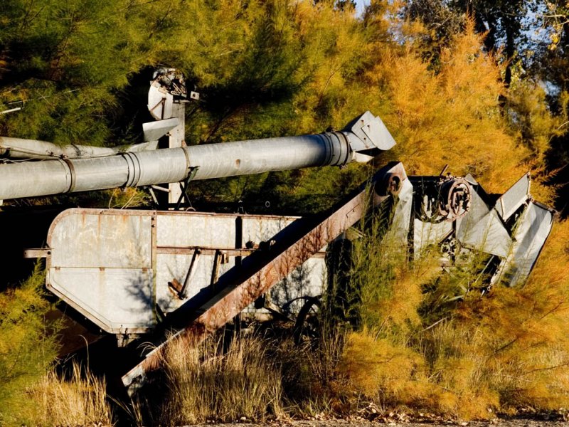 <B>Tree Eating Monster </B> <BR><FONT SIZE=2>Benton Hot Springs, California October 2006</FONT>