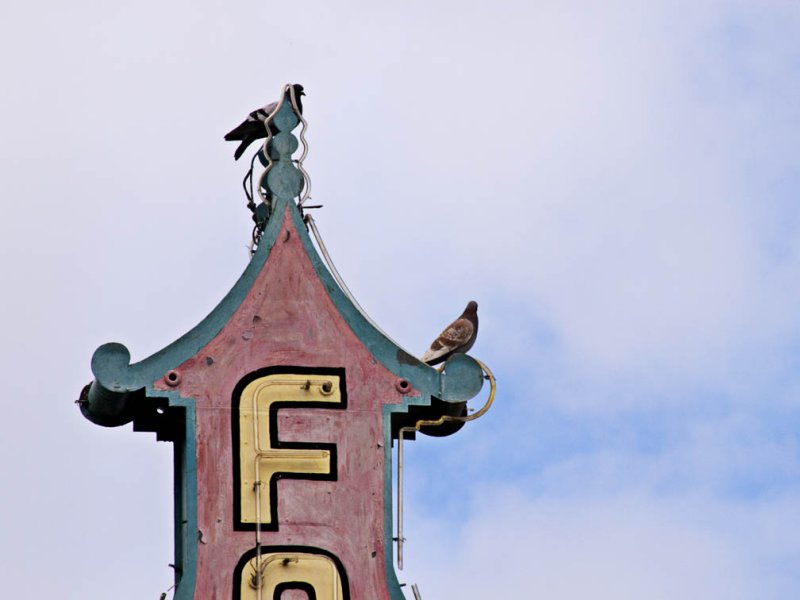 <B>Roost</B> <BR><FONT SIZE=2>Bakersfield, California February 2007</FONT>