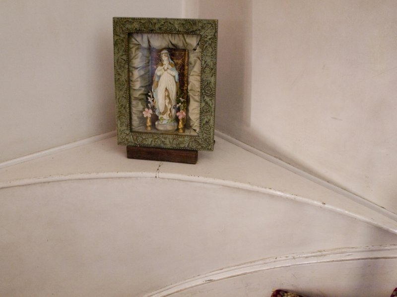 <B>Devotion</B> <BR><FONT SIZE=2>Sonoma County California, June, 200</FONT>