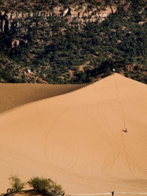 <B>Dune Climber and Friend</B> <BR>- Coral Pink Sand Dunes State Park, Utah