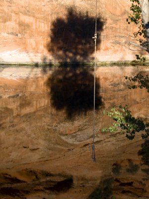 Rope Swing - Pond outside Kenab, Utah