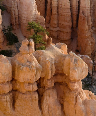 Among the Hoodoos - Bryce Canyon National Park, Utah